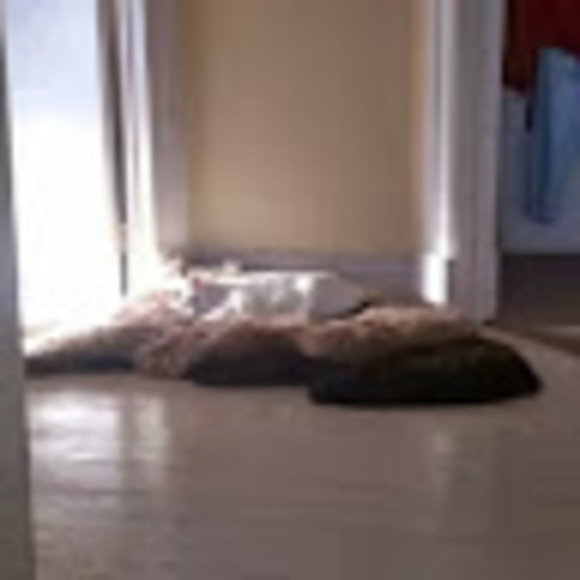 Meet your Posher, Marla - Picture 1 of 1